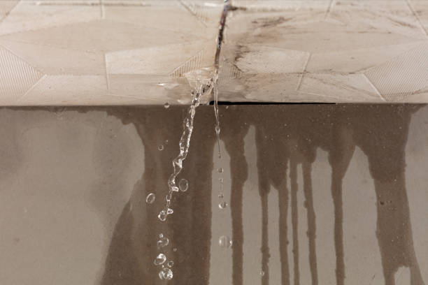 Professional Flood Damage Cleanup technician working in Toronto, OH